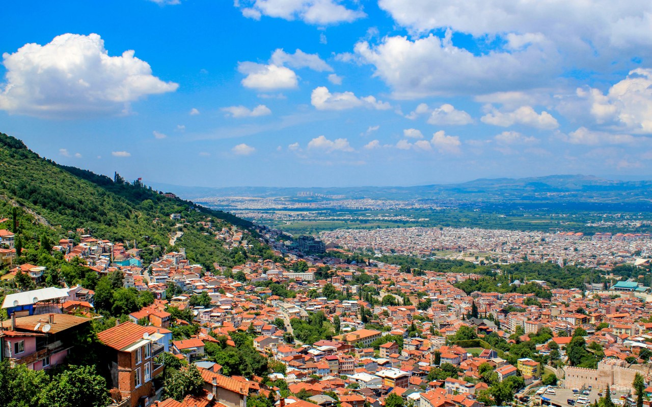 Bursa